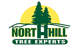 north hill tree experts